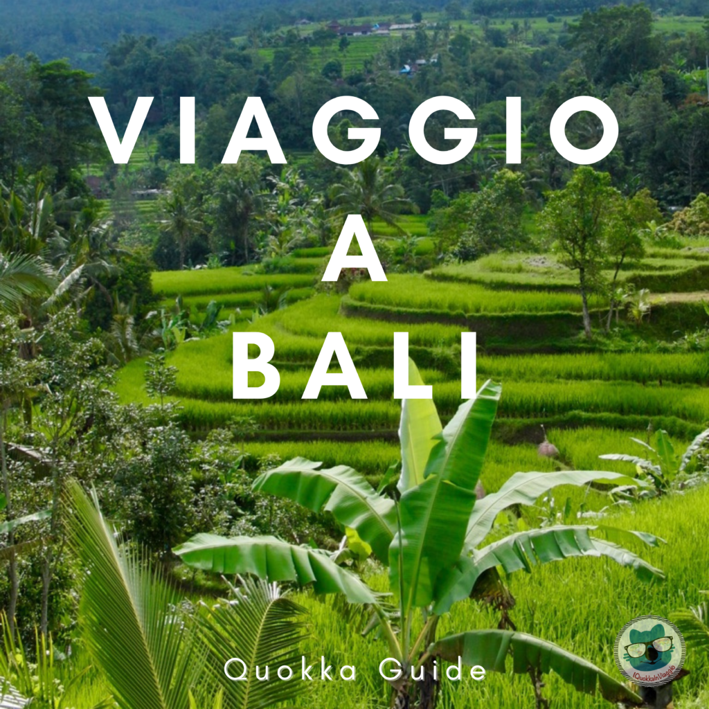 Quokka Guide - Viaggio a Bali