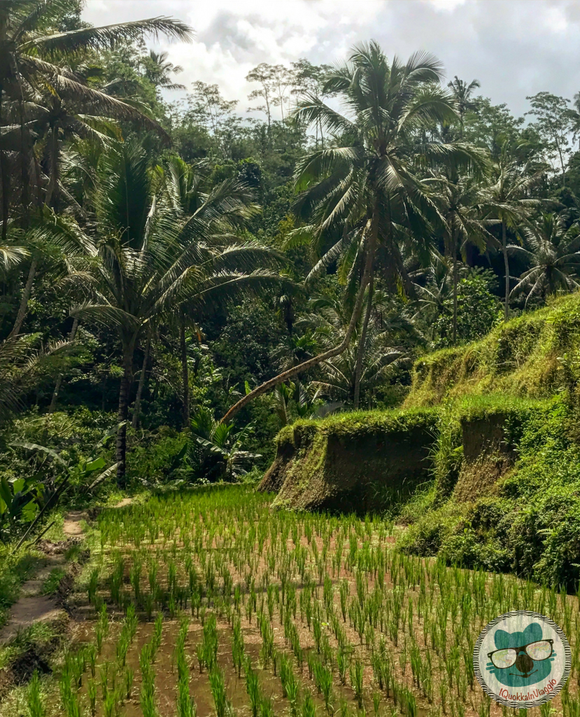 Bali - Pura Gunung Kawi