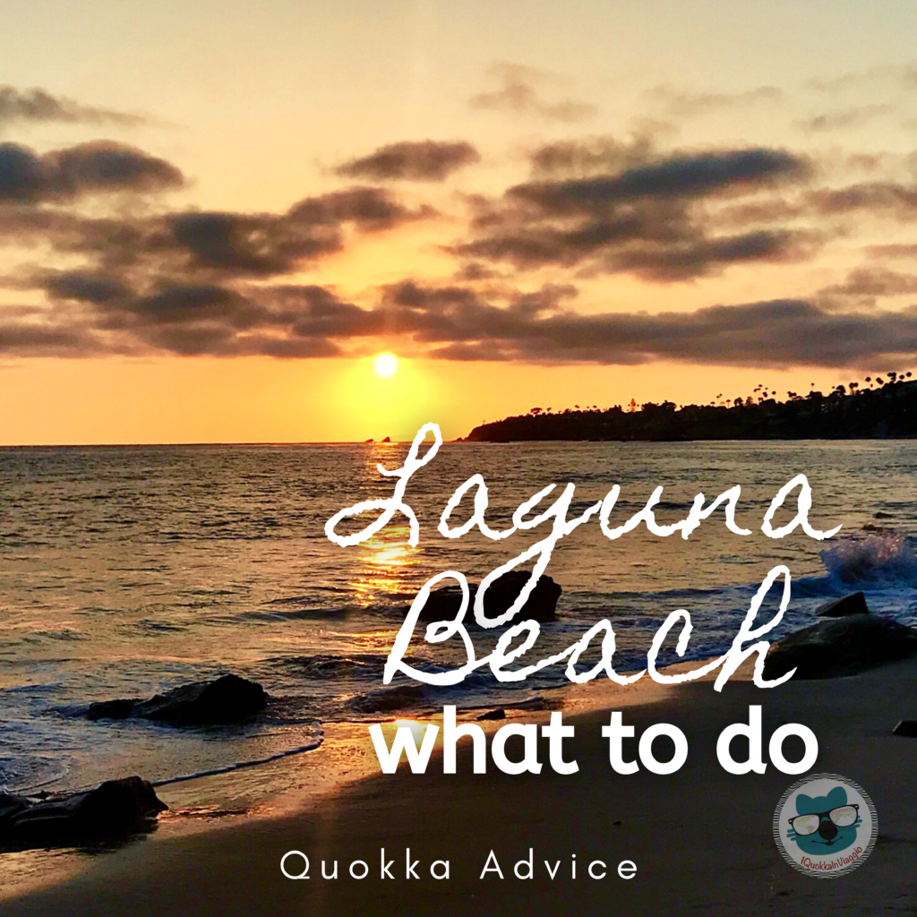 Quokka Advice - what to do in Laguna Beach