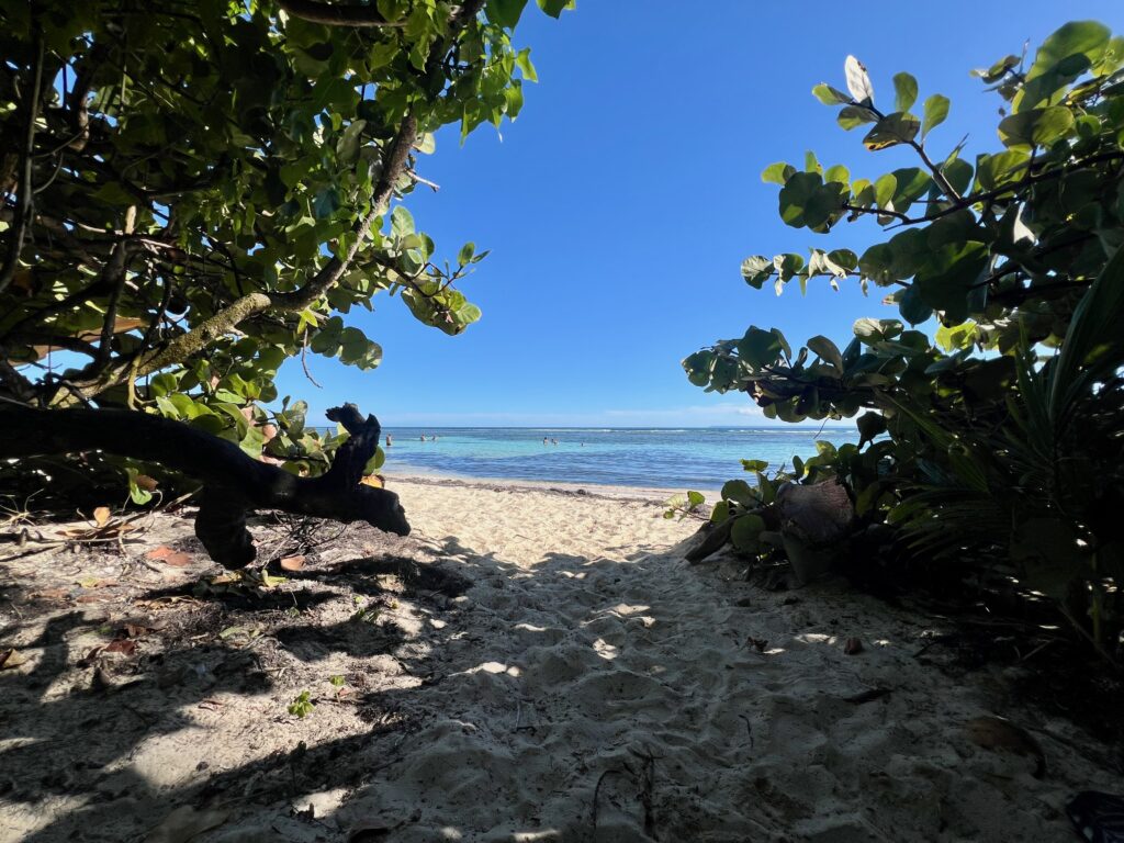 The natural shade from the trees at Plage de Bois Jolan