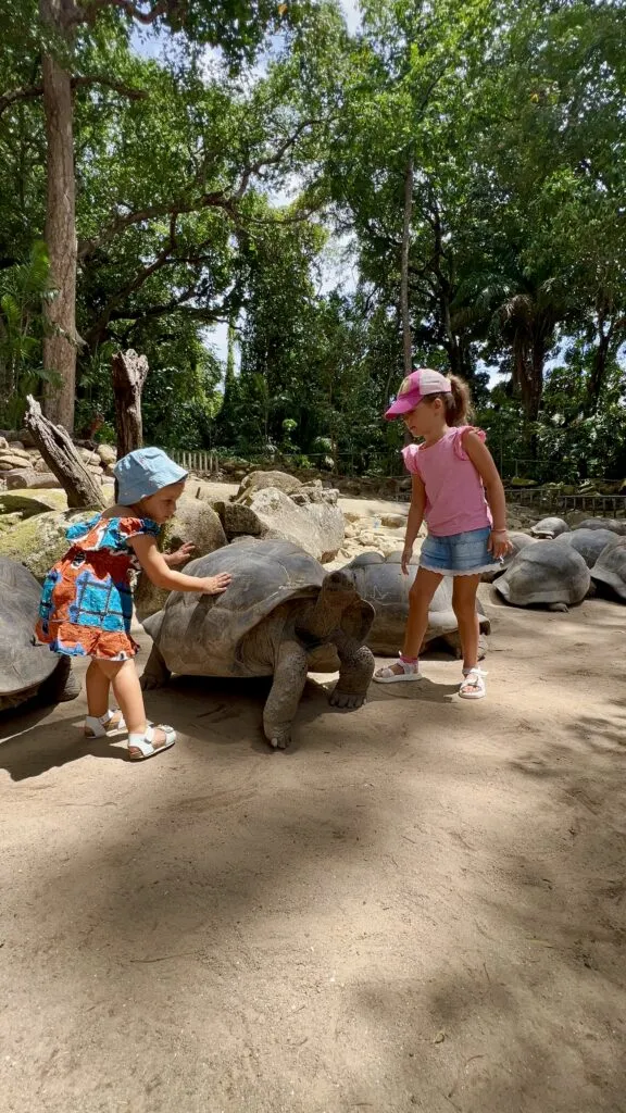 Bambine che accarezzano tartaruga gigante di Aldabra al giardino botanico di Victoria
