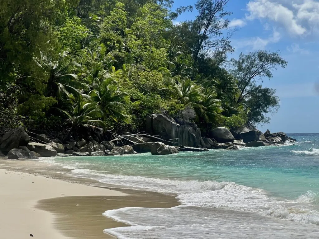 Isola deserta di Therese Island Seychelles con vegetazione rigogliosa
