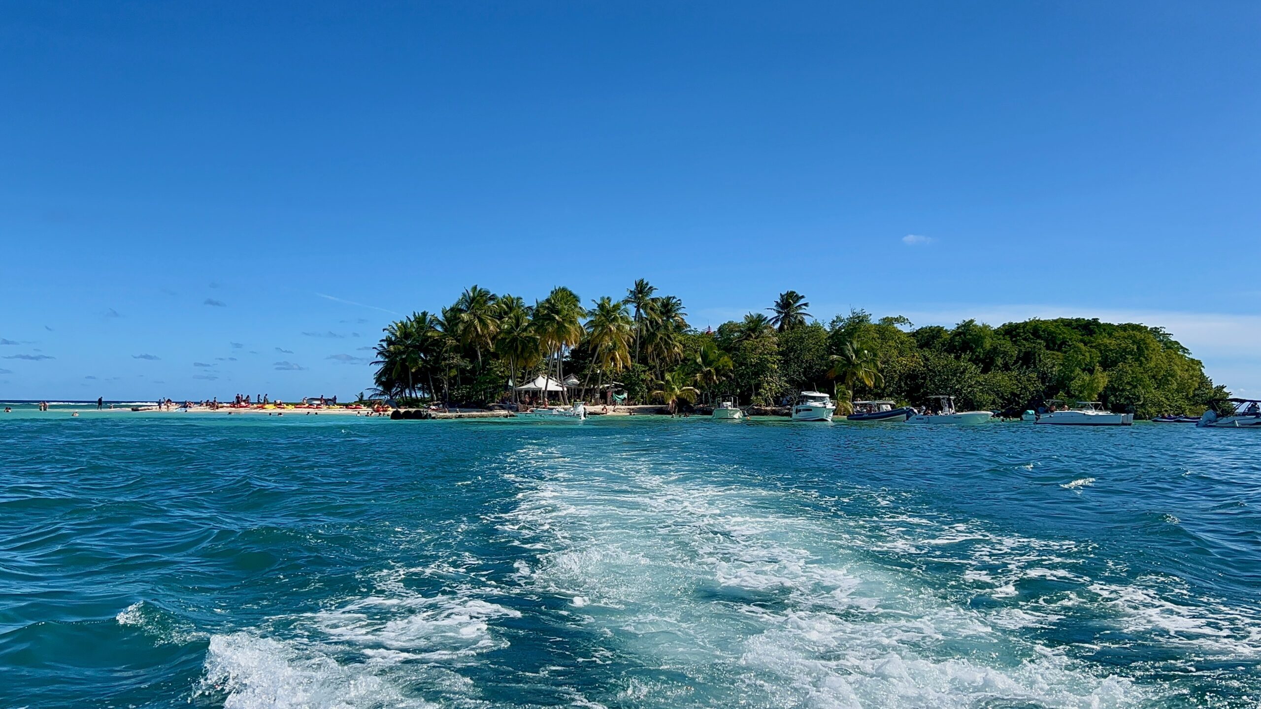 Ilet du Gosier seen from the boat, islet with palm trees in Guadeloupe